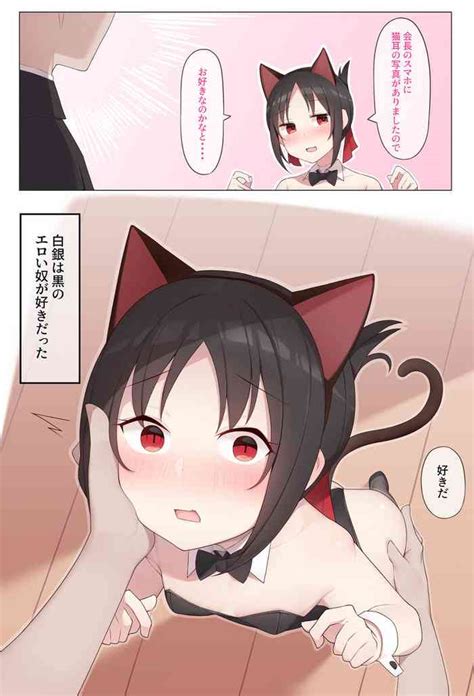 【arabi】nekomimi No Kaguya Sama Nhentai Hentai Doujinshi And Manga