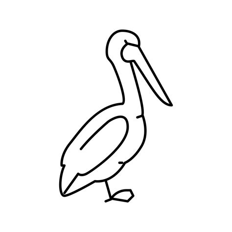 pelican bird line icon vector illustration 19524707 Vector Art at Vecteezy