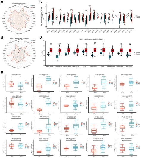 Clinical Significance Tumor Immune Landscape And Immunotherapy