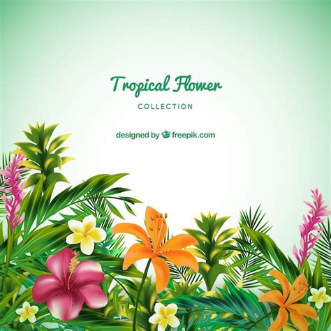 Free Vector | Tropical flowers collection in realistic style