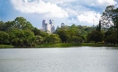 Top Facts About The Ibirapuera Park In Sao Paulo Discover Walks Blog