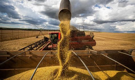 Governo libera R 990 milhões para o seguro rural Conteúdo e Notícias