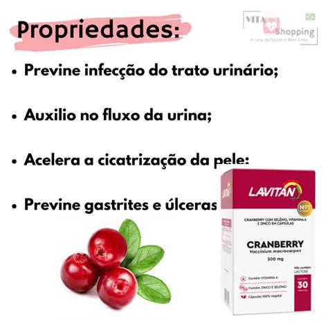 Lavitan Cranberry 500mg Infecção Urinária Vita Shopping Brasil