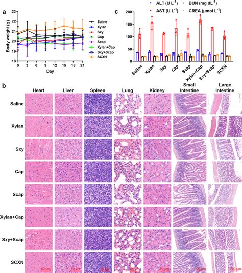 Biocompatibility Evaluation In Healthy Mice Receiving Multi Dose