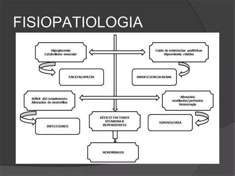 Hepatitis fulminante Caso clínico PPT