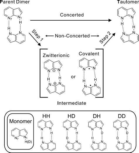 Double Proton Transfer Dynamics Of Model DNA Base Pairs In The