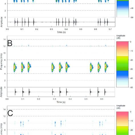 Audiospectrograms Above And Corresponding Oscillograms Below