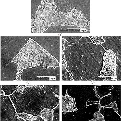 SEM Secondary Electron Images Of The Steels Subjected To A