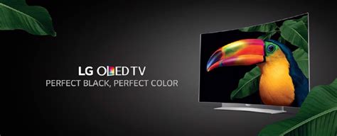 Cosa Significa Tv Oled E Come Funzionano Stay On