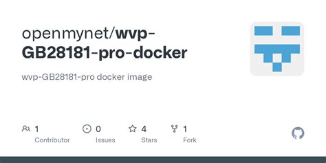 Issues Openmynet Wvp Gb Pro Docker Github