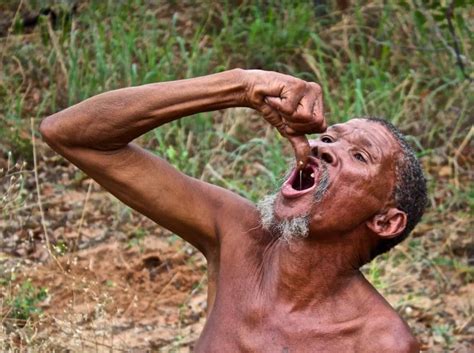 A Day In The Life Of The San Bushmen The Five Foot Traveler