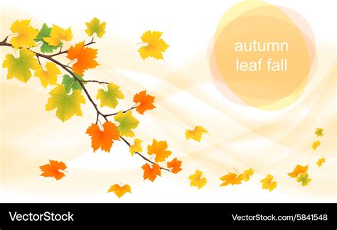 Autumn leaves in the wind Royalty Free Vector Image