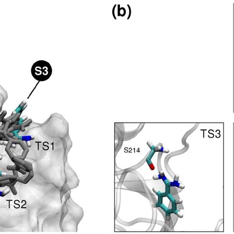 A Crystallographic Bound Structure Of Benzamidine And Trypsin Pdb