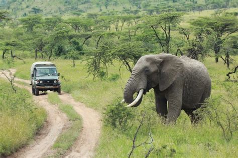 The 2 Day Tanzania Camping Safari Tour Package