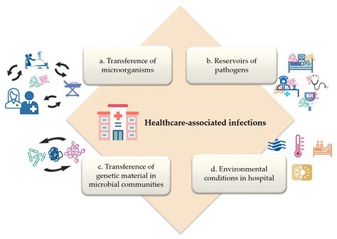 Microorganisms Free Full Text How Does Hospital Microbiota