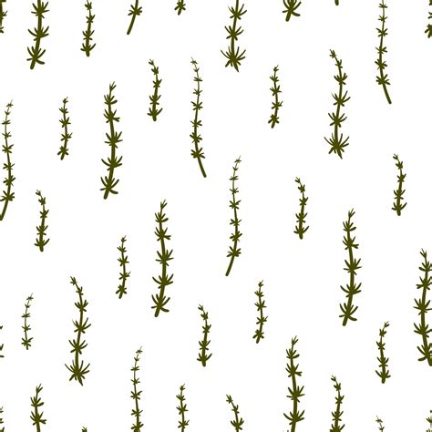 Horsetail medicinal plant seamless vector botanical pattern. Equisetum