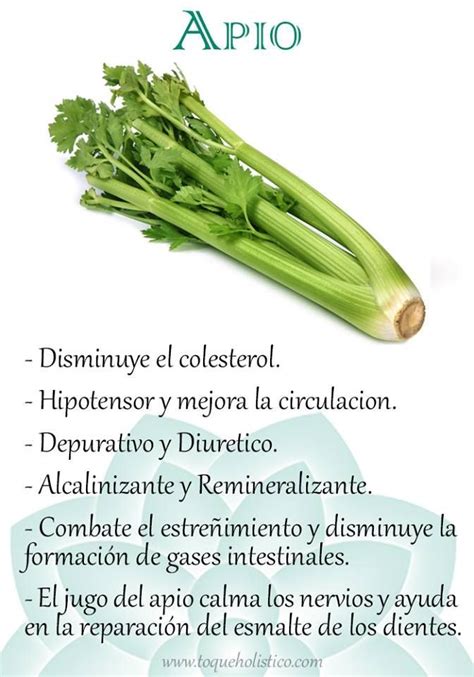 Beneficios Del Apio Frutas Y Verduras Beneficios Beneficios De