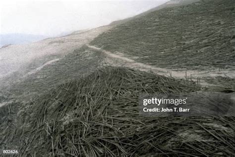 159 Mount St Helens National Volcano Monument Stock Photos, High-Res ...