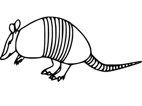 Armadillo Para Colorear Imprimir E Dibujar Coloringonly The Best Porn