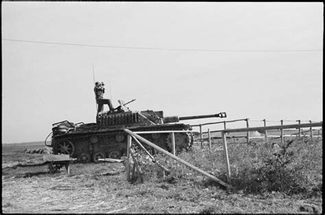 ImagesDéfense Les Sturmgeschütz III canons d assaut allemands au