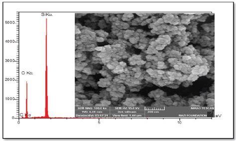 EDX Of Pure Nano Silica Oxide Powder With FE SEM Surface Morphology