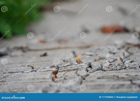 Cracked concrete road stock image. Image of line, earthquake - 117320845