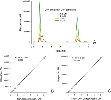 Figure From Determination Of Coenzyme A And Acetyl Coenzyme A In