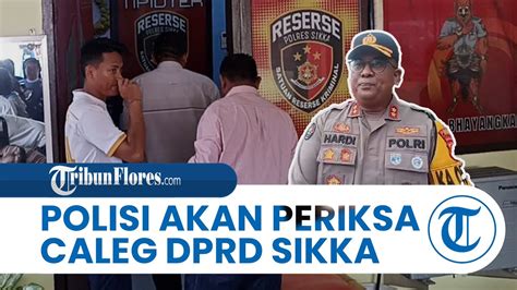 Pekan Depan Polisi Periksa Caleg Terpilih Dprd Sikka Sebagai Tersangka