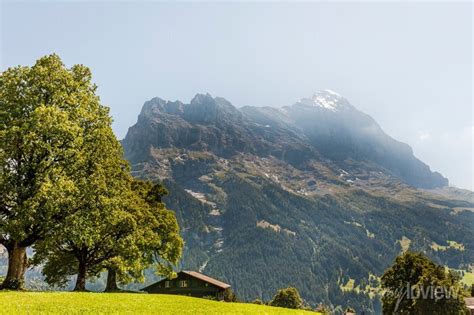 Grindelwald Eiger Eigernordwand Alpen Berner Oberland Unterer