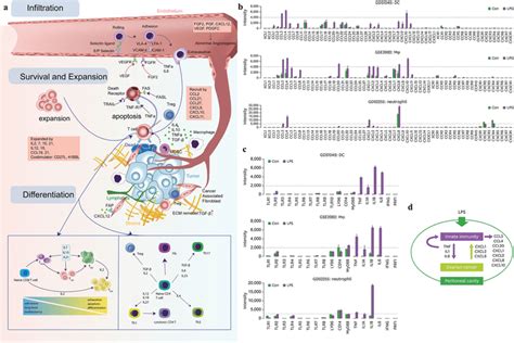 Schematic Diagram Of Externally Induced Cytokines And Chemokines A