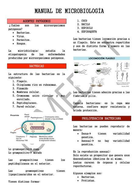 Manual de Microbiología Alex Carrillo uDocz