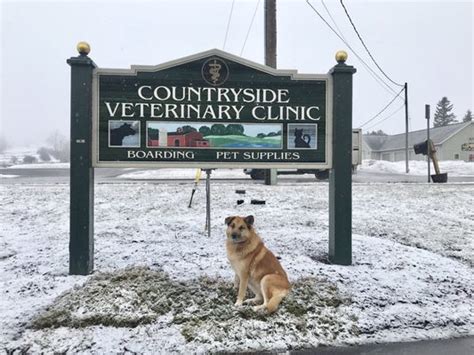 Countryside Veterinary Clinic Updated December 2024 15 Reviews