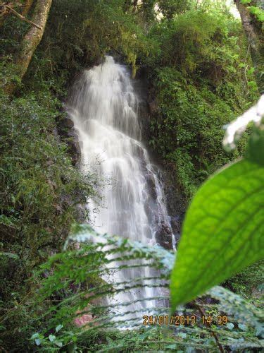 Magoebaskloof R71 Mountain Passes South Africa Africa Vacation