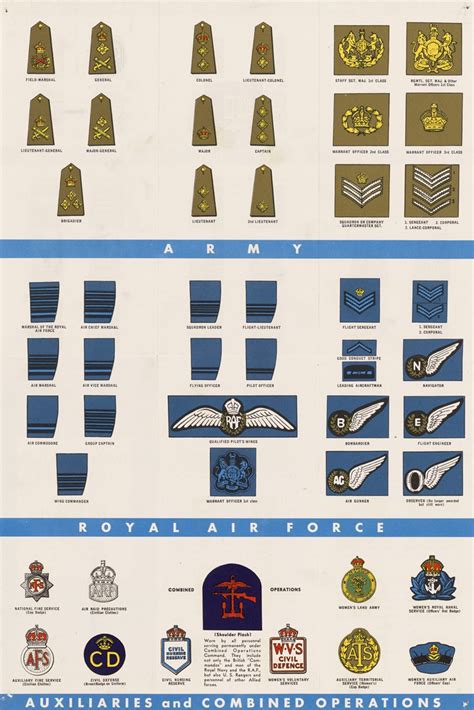 Ranks and Insignia of the British Armed Forces 2 by Anonymous - Artvee