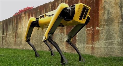 Singapore Ecco Il Cane Robot Spot Per Il Distanziamento Sociale Now