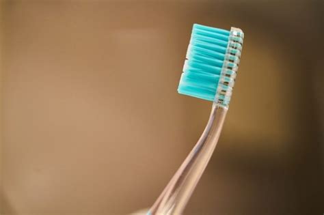 Erradica Las Bacterias De Tu Cepillo Dental Con Estos Tips Diario Basta