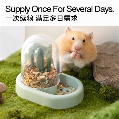 Small Animal Hamster Automatic Feeder Hamster Food bowl dispenser bird ...