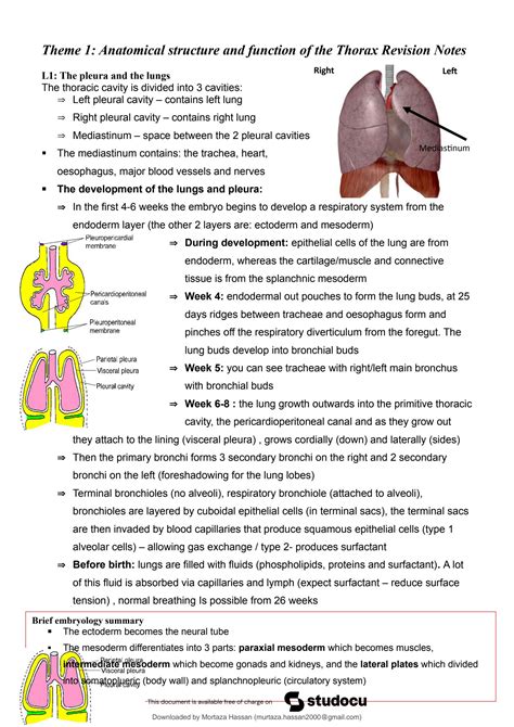 Solution Respiratorytheme Anatomy Of Thorax Notes Studypool