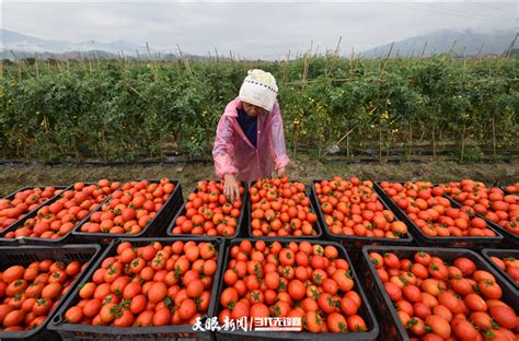 榕江县农业投资开发有限责任公司榕江农投