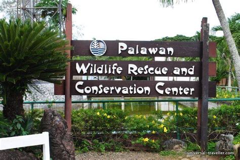 Crocodile Farm Palawan Wildlife Rescue Center in Puerto Princesa