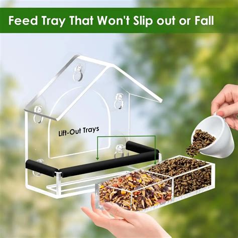strong suction cup window bird feeder  birds  close