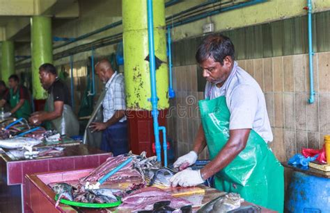 Men In Fish Market In Male Maldives Editorial Stock Photo Image Of