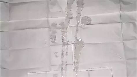 Asertlop Gay Porn Creator Videos Free Amateur Nudes Xhamster