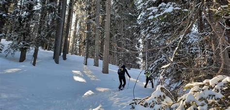 Le Migliori Cose Da Fare A Madonna Di Campiglio In Inverno