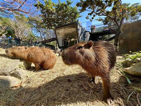 4天連假必玩景點 觀光局園區12歲以下免費入園－高雄旅遊網