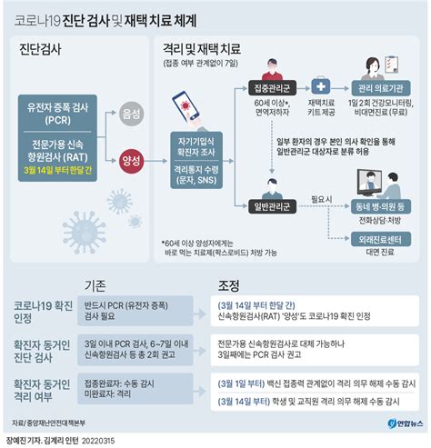 그래픽 코로나19 진단 검사 및 재택 치료 체계 연합뉴스