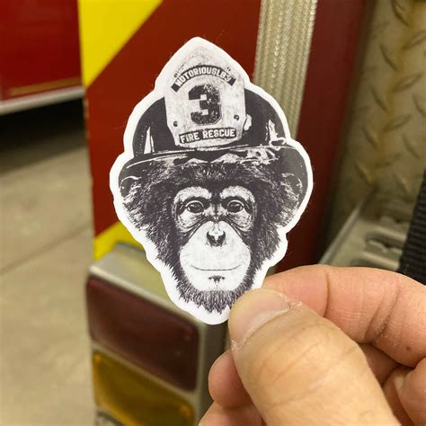 Hose Monkey Vinyl Sticker Etsy