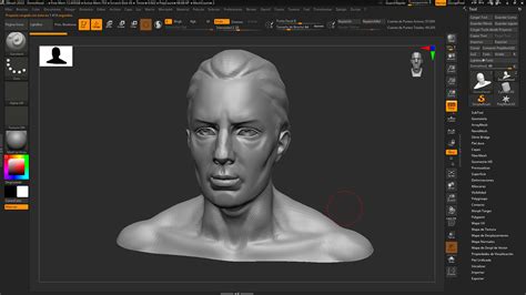 Pixologic Zbrush 2025 0 1 Win Multimedia Tools