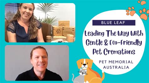 Water Cremation For Pets Blue Leaf Water Cremation Interview Pet