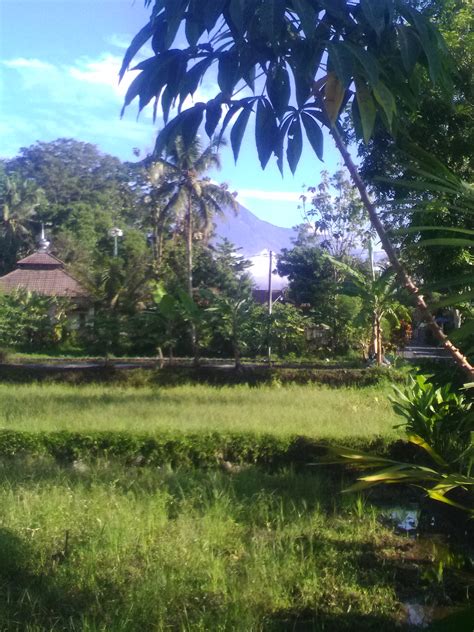 Rumah Joglo Ukir Soko Guru Kaliurang Project Atas Nama Bapak Sadu